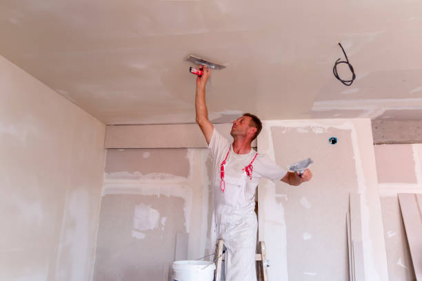 Trusted Buena Vista, CO Dry wall and painting Experts